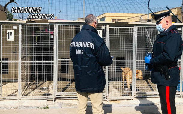 Sequestrato un canile a Canicattì: accertate diverse irregolarità