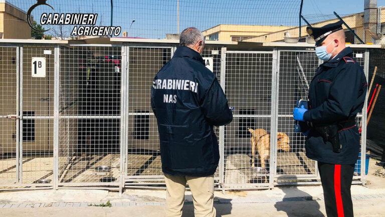carabinieri canile