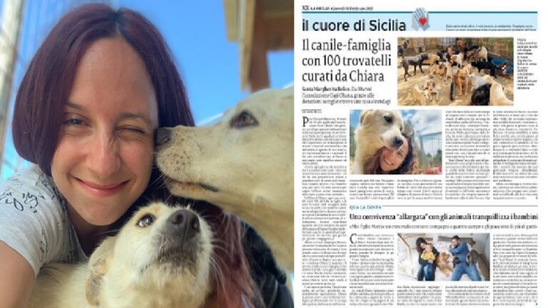 chiara calasanzio articolo