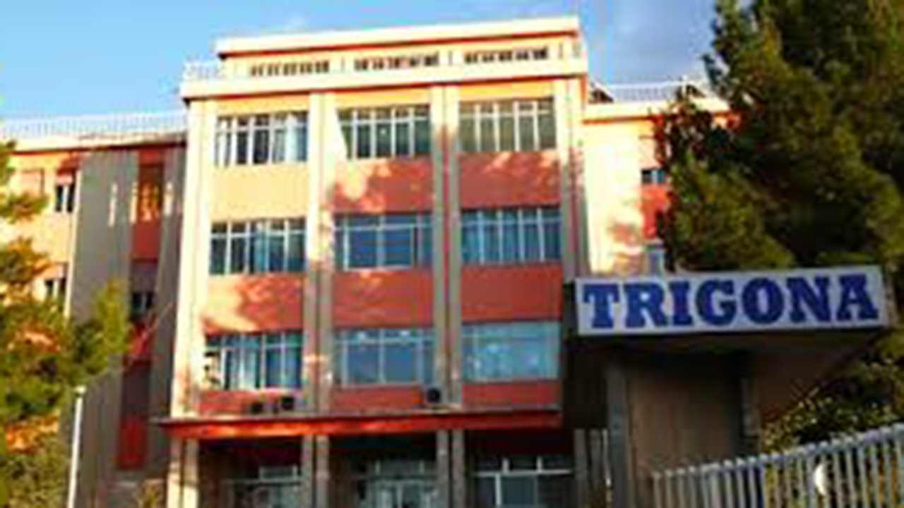 ospedla Trigona