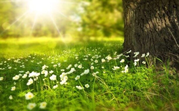 Ancora temperature primaverili in Sicilia