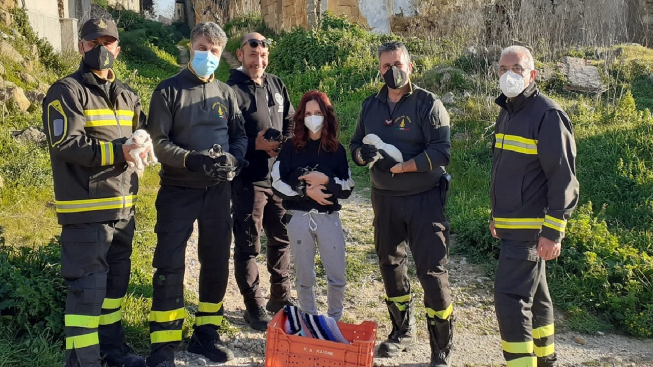 vigili del fuoco recupero cuccioli santa margherita chiara calasanzio 2021 home