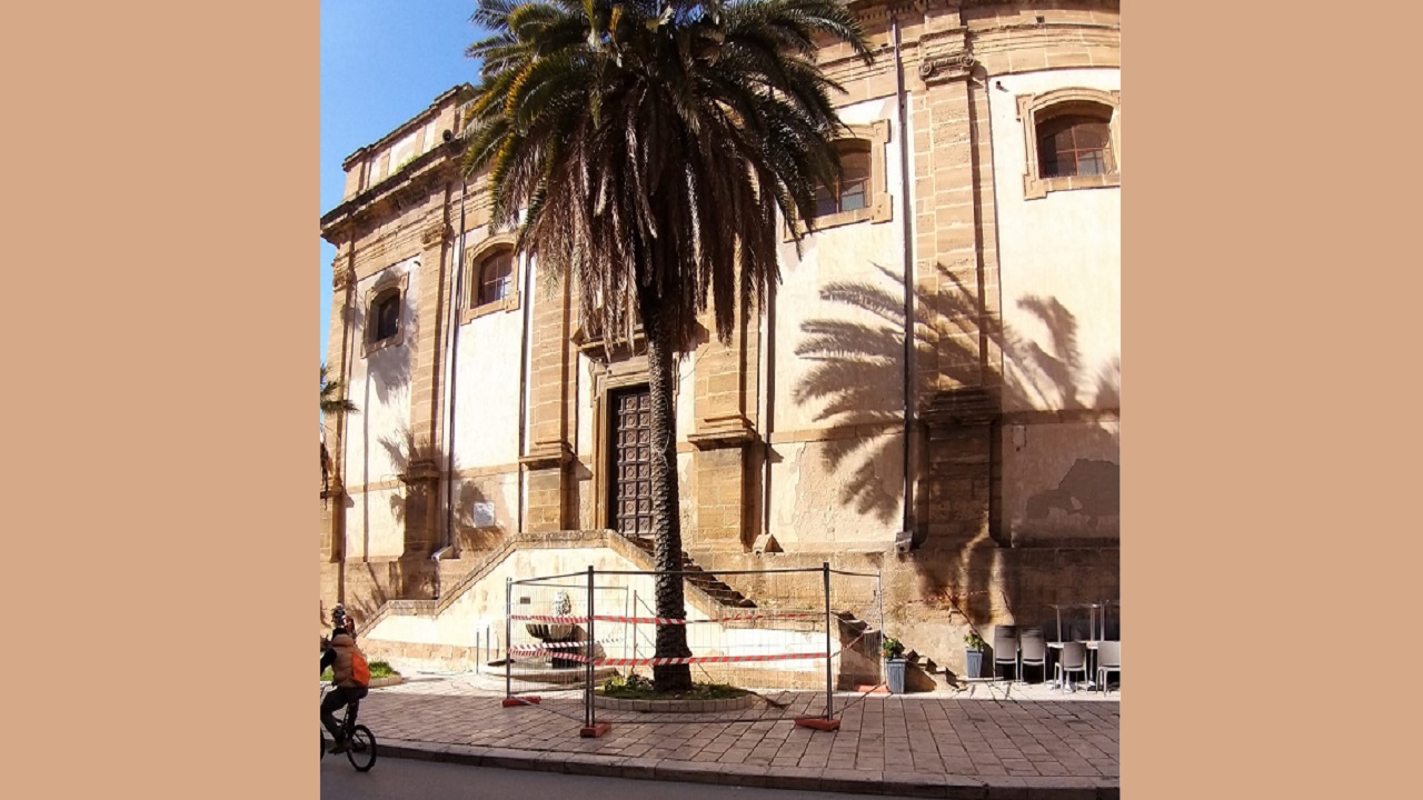 PALMA PERICOLANTE 2021