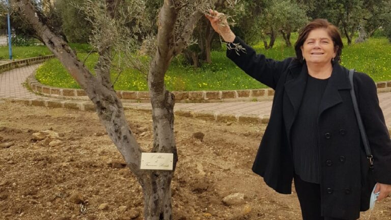 albero bondi 2021