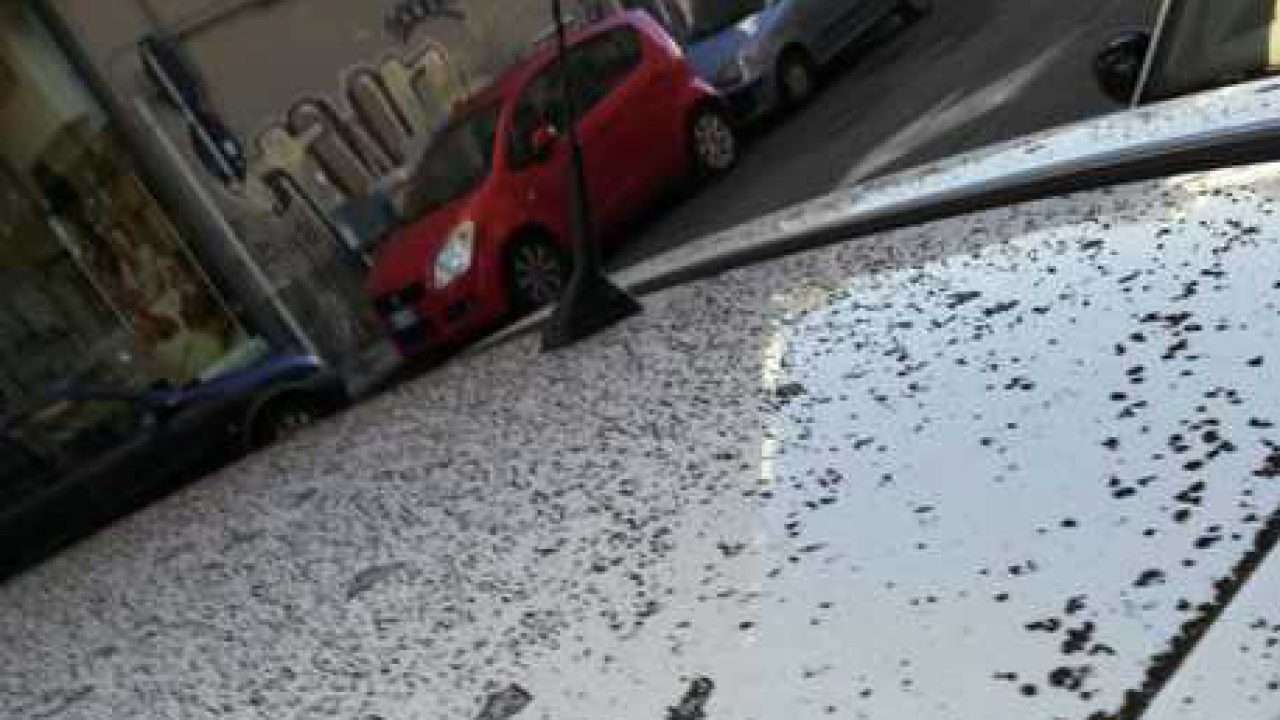 cenere-auto-catania-1280x720