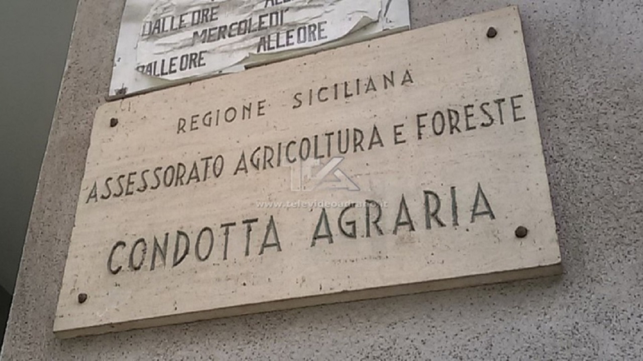 condotta agraria