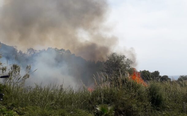 Va a fuoco il canneto dell’Arenella