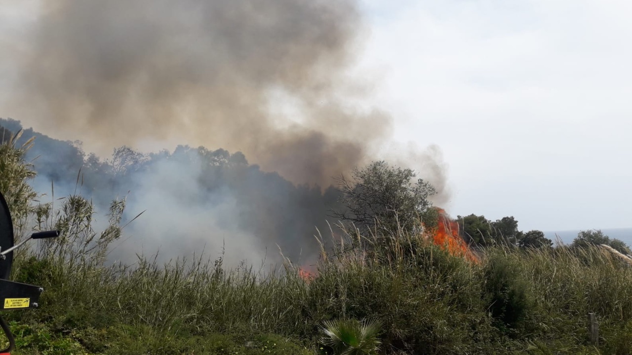 Va a fuoco il canneto dell’Arenella