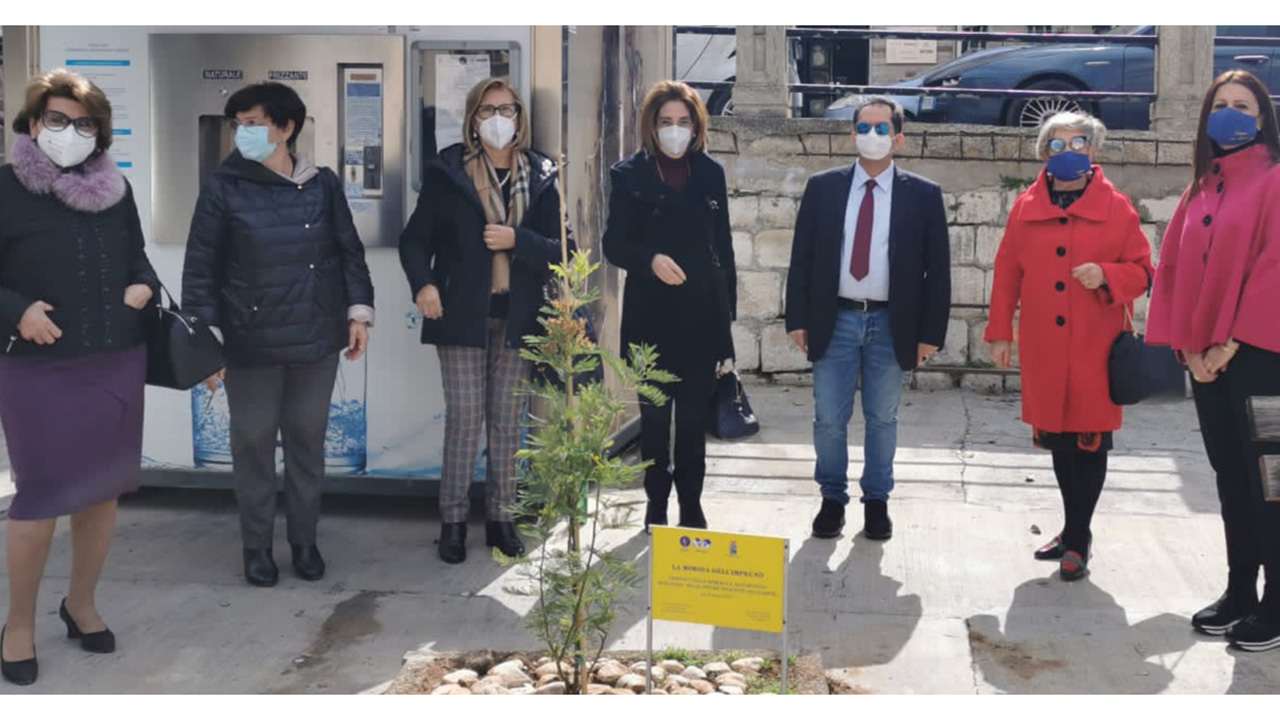 FIDAPA MIMOSA MEMORIA 3 1280X720