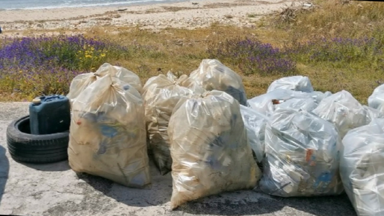 MareVivo stazzone pulizia rifiuti