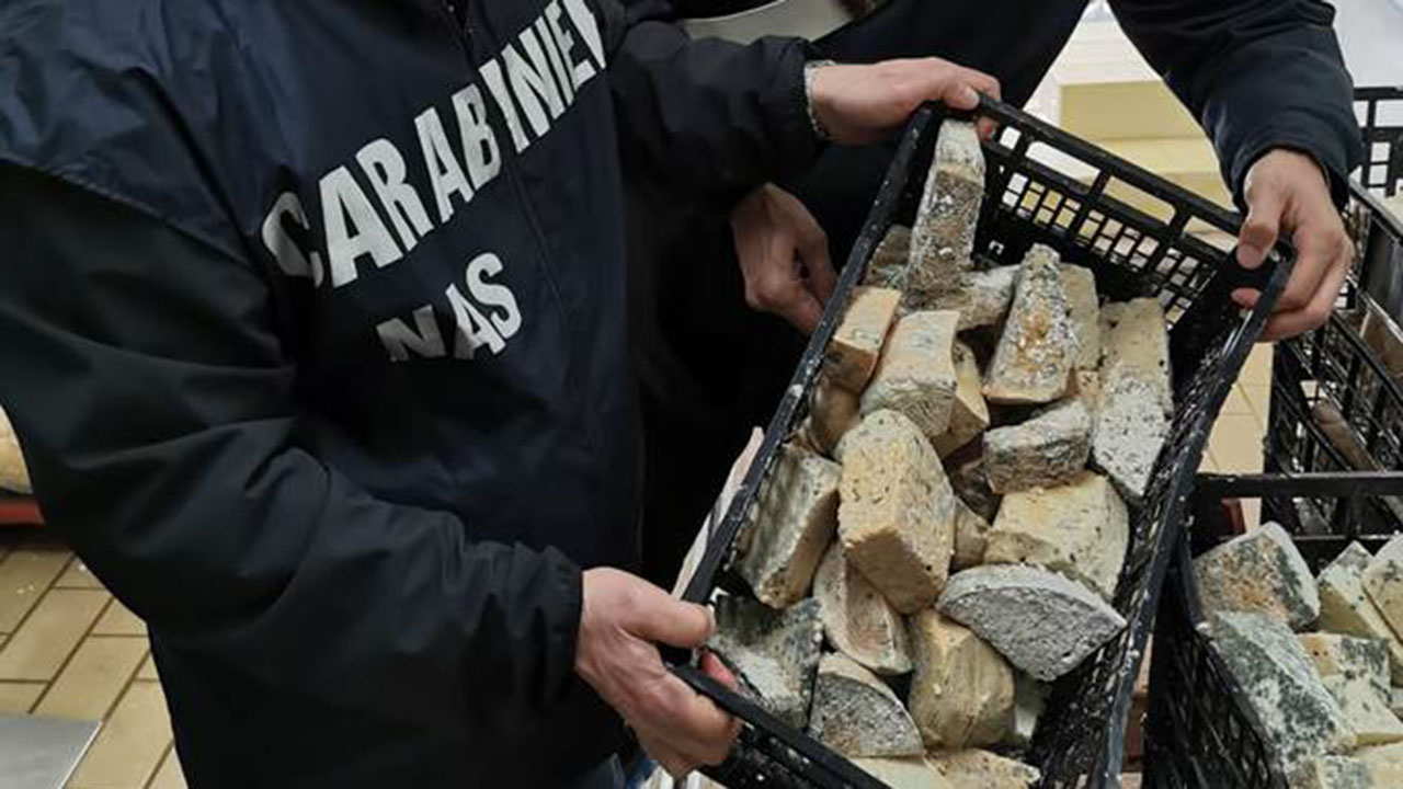 NAS controllo caseificio 1280X720