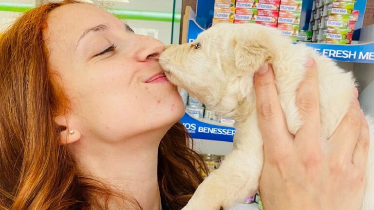 chiara hola