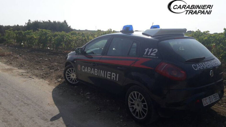 controlli campagne carabinieri