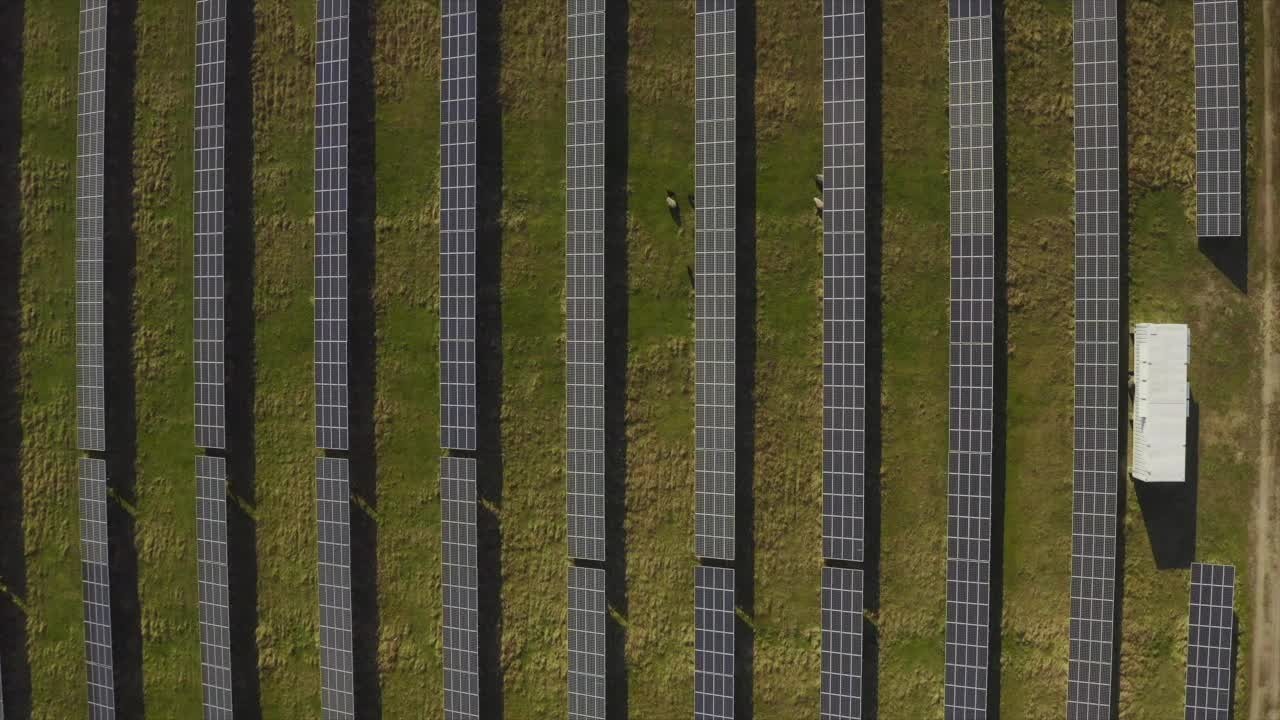 ek6075p1ab7lj24ylm8dojvr