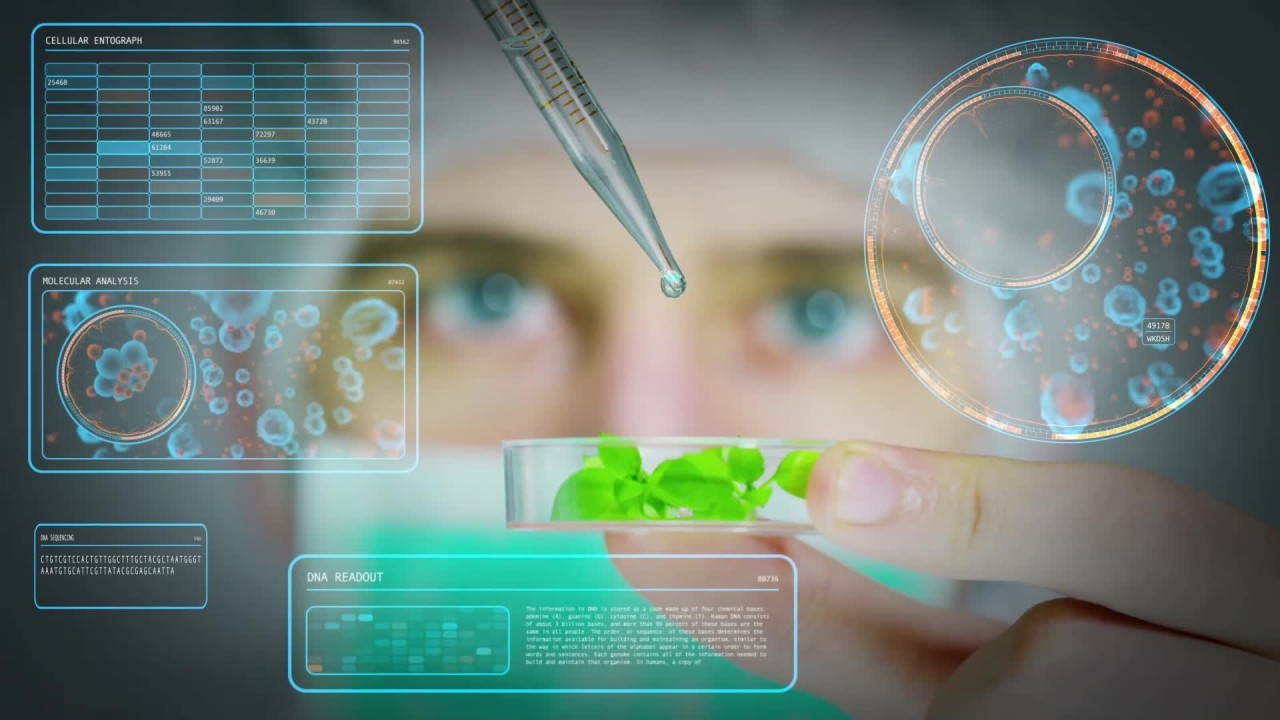 ek6075p1ab7ljnmylm8dojvr