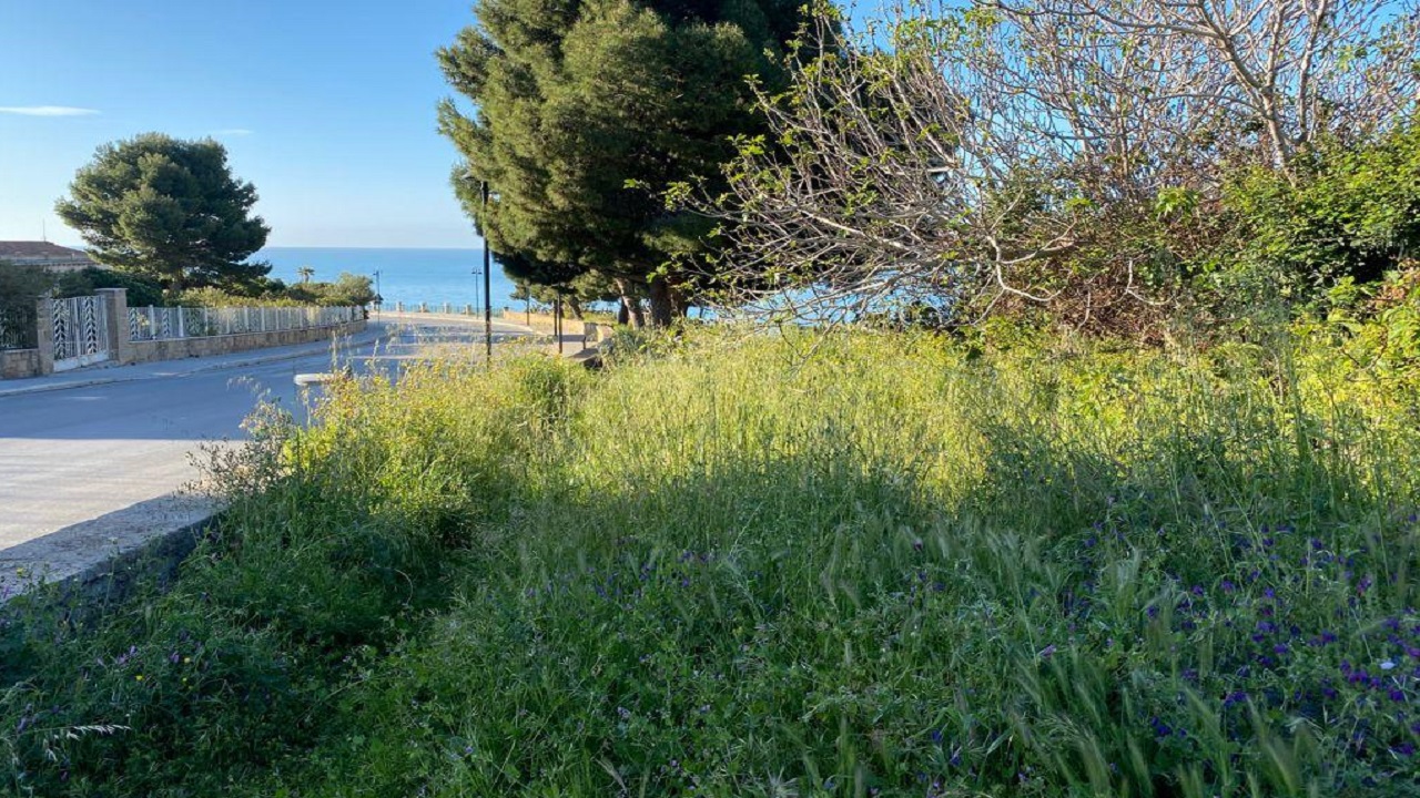 fondo bernardo sterpaglie 2021