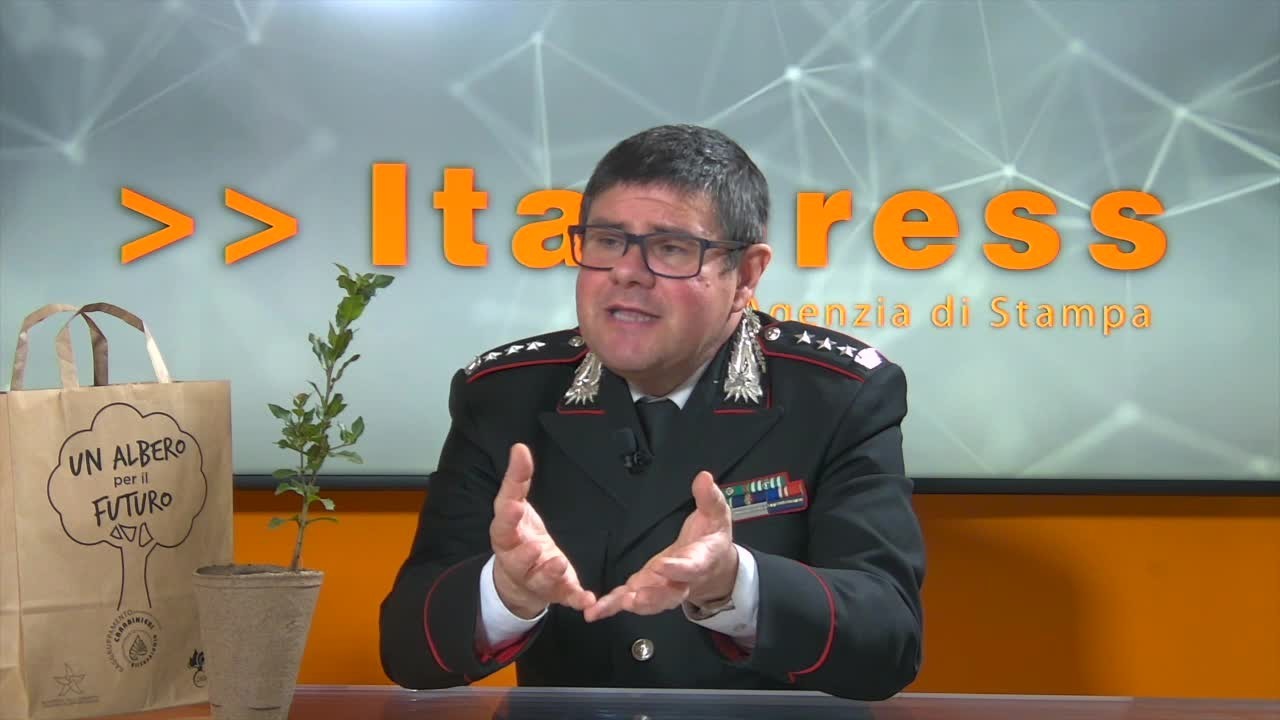 n0j9514o6znn9v1z2vdprx3m