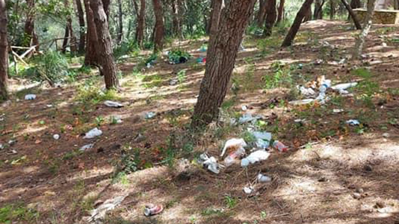 pineta San Calogero 1 1280x720