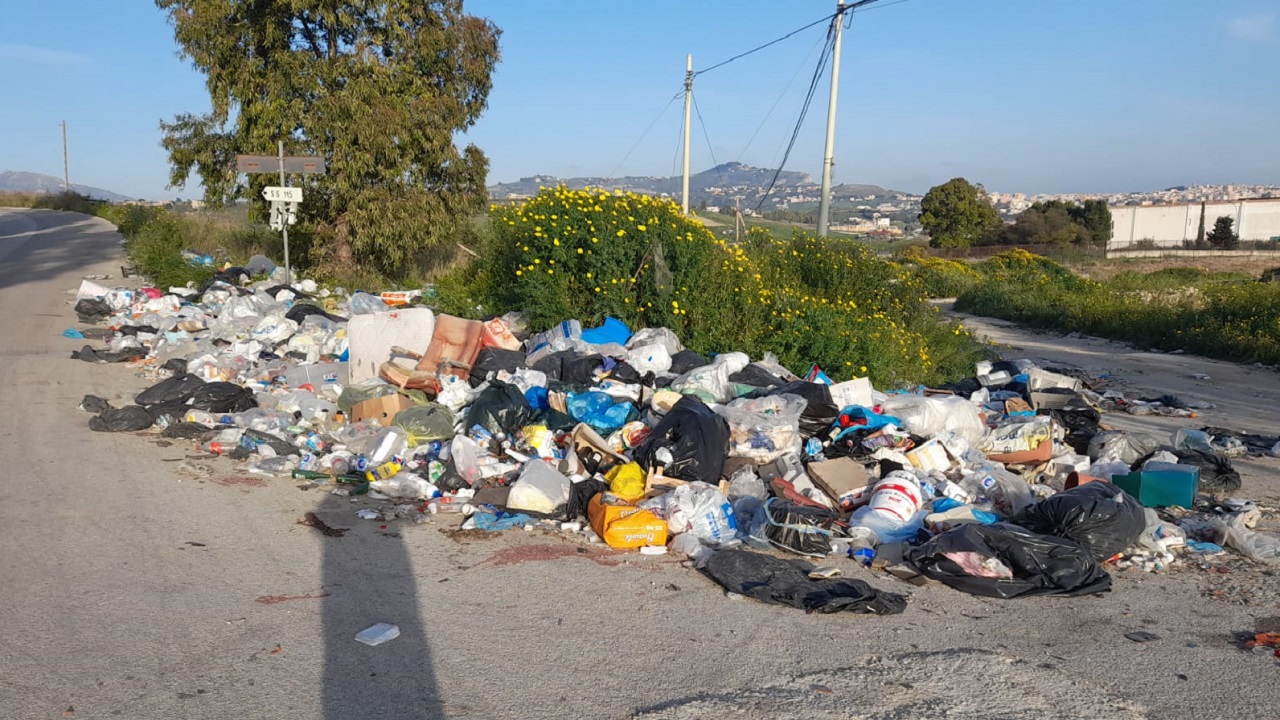 raganella baiata rifiuti 2021