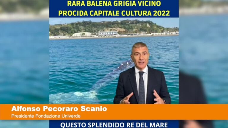 rgp5l1vaeba2n6pz87x4j93n