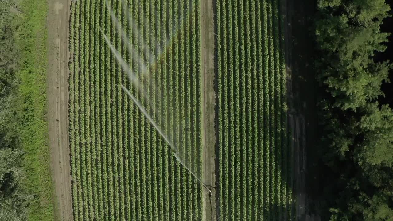 1gkj4v26ez6rje3znomxr9ad