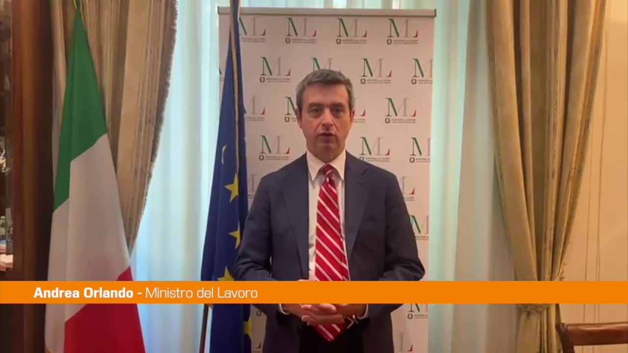 2xp79vd1ezkm3k6bn8aokl53