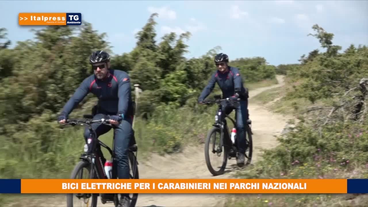 5124rkejpzxgm42y9x7nl8o3