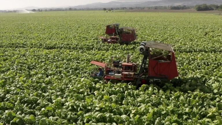5e38am4n6yp21jxblp12o7dg