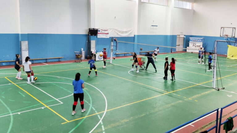 Volley