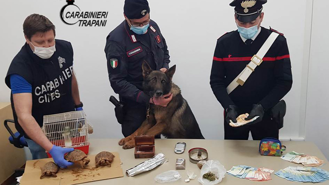 arrestcarabinieri trapani droga
