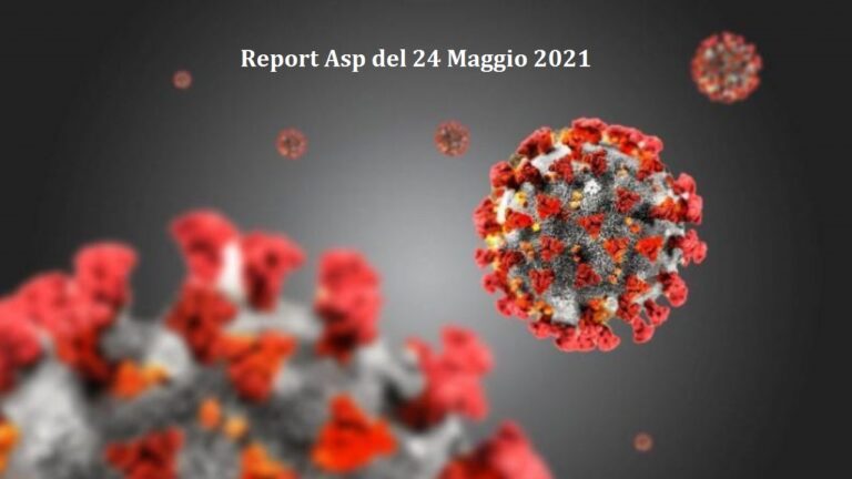 asp report 24