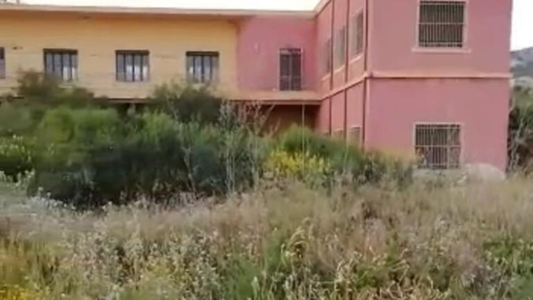 erbacce museo delmare 1280x720