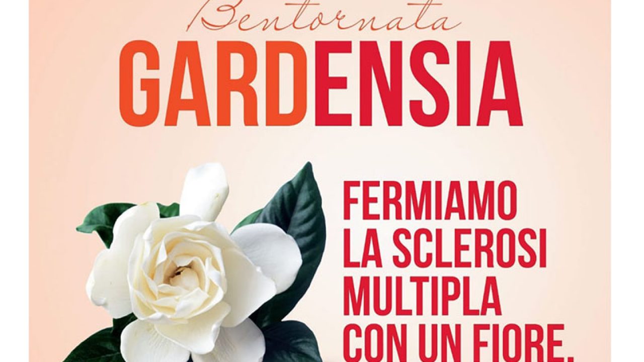 gardenia aism