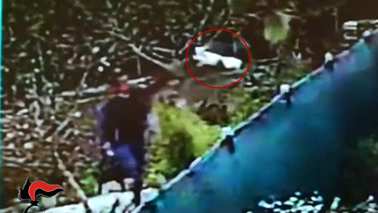 intimidazione santa ninfa con coniglio