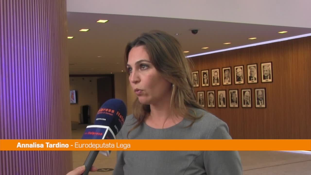 j527xnv63b310g0zrl4dka08