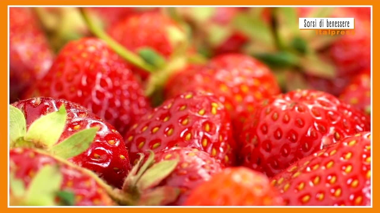 jopx462adz9x3poz5n3v019m