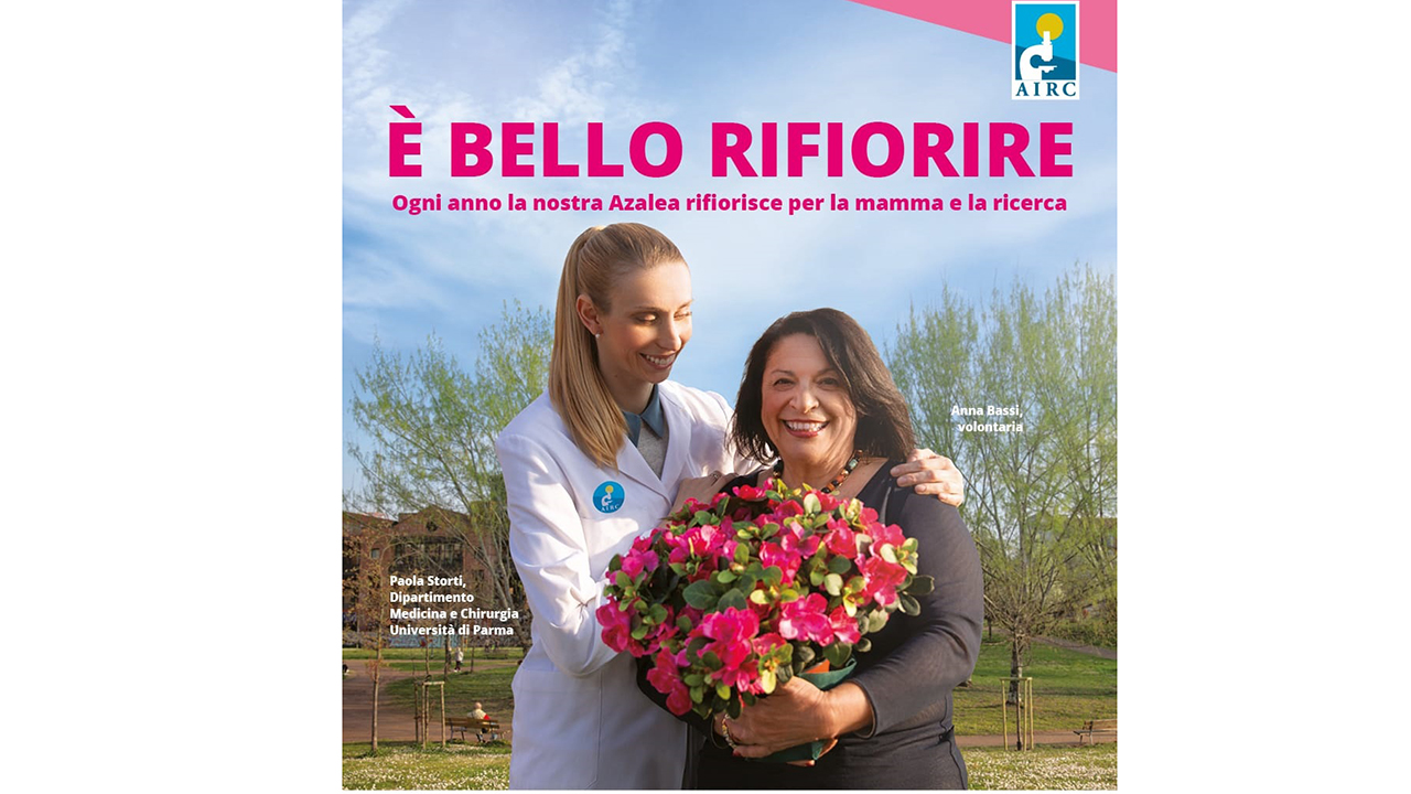 locandina azalea della ricerca 1280x720