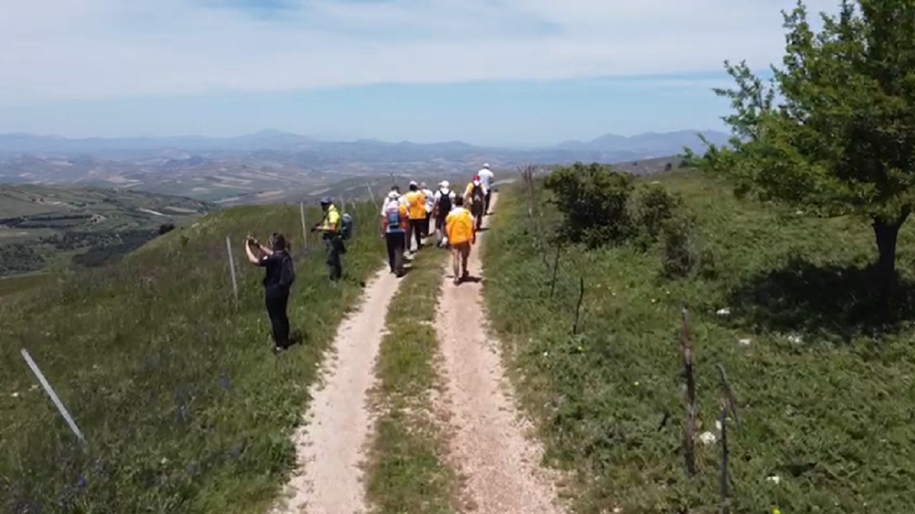 marcia palermo campagne 2021