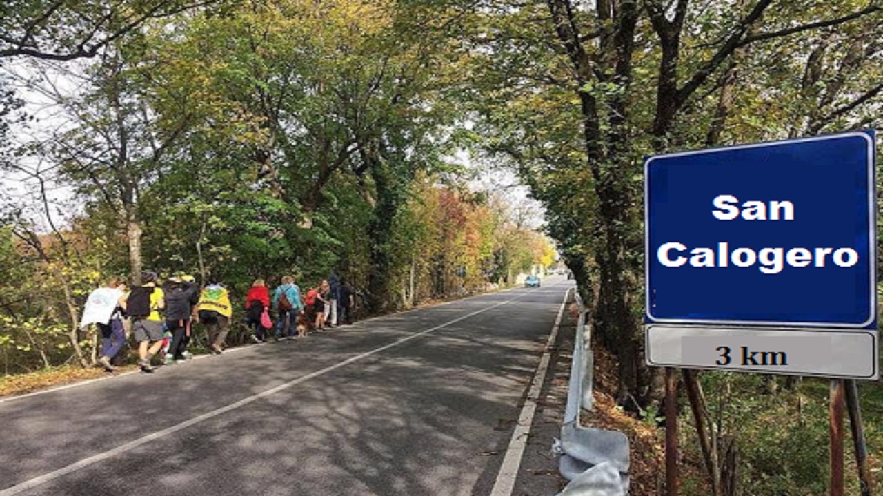 marcia pellegrini san calogero