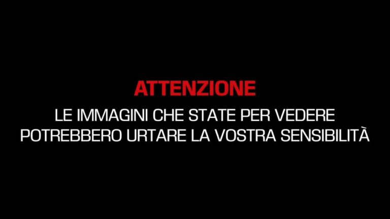 n0j9514o6znn2dkz2vdprx3m