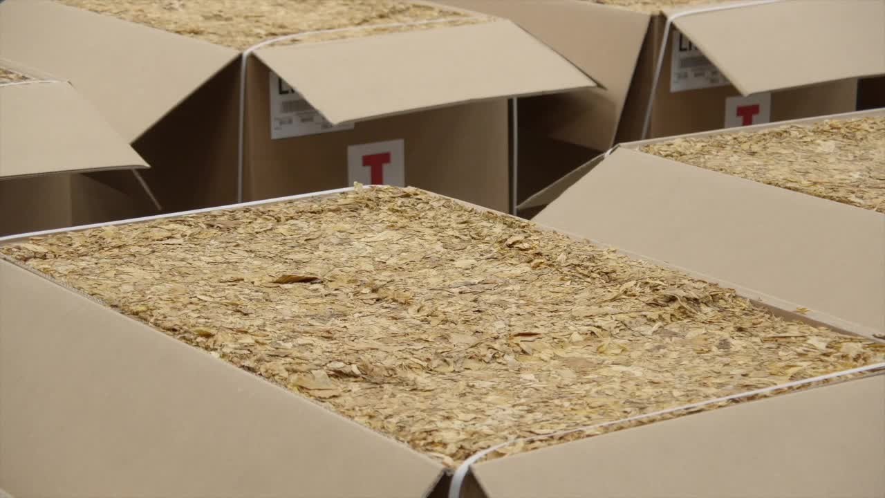 n7exo3pmvy2g8emzd460r2j9