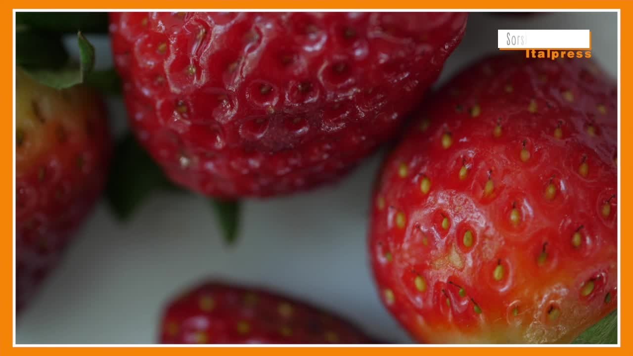 rgp5l1vaeba20o2z87x4j93n