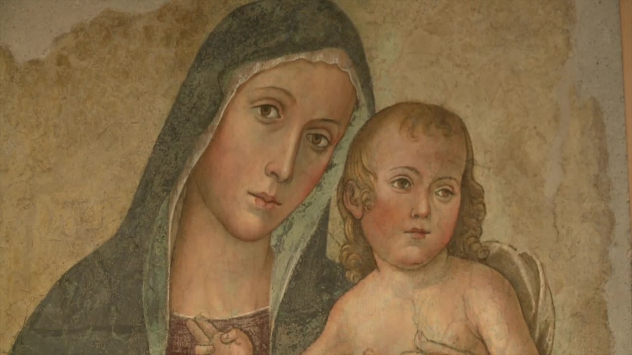 x6e21a590z1e94dylogm7jkp