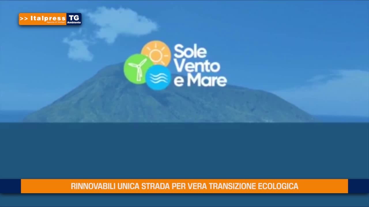 xlgrpa9n0zerpg1y4vm28d13