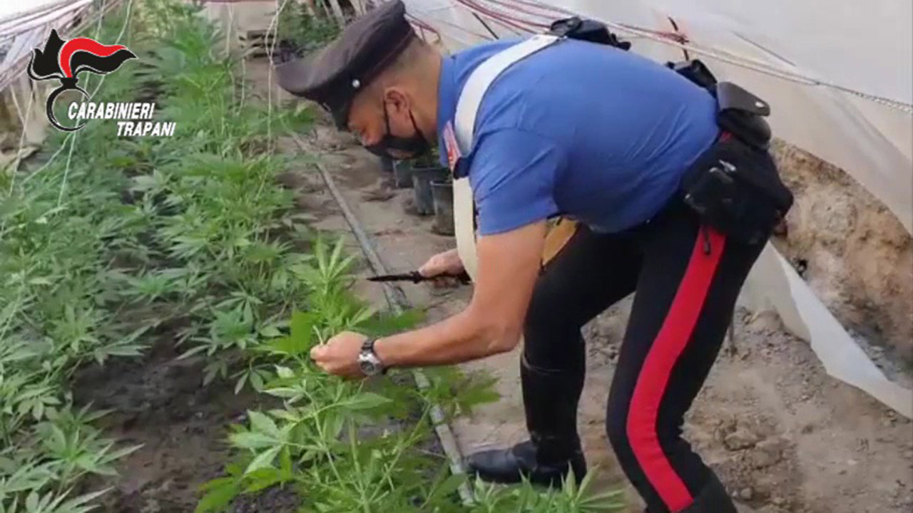 MARSALA droga colticata a casa carabinieri