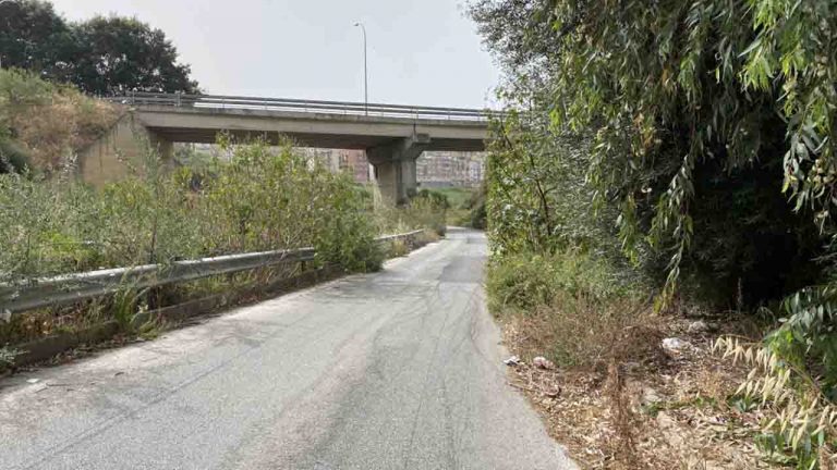 Via Cansalamone erbacce 2
