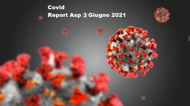 asp report 04-06