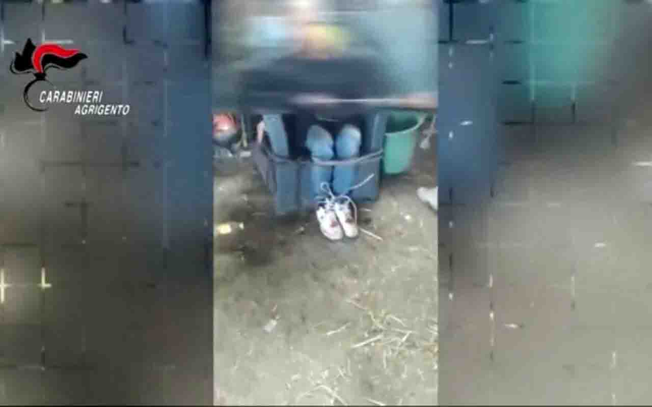 disabili torturati licata-3