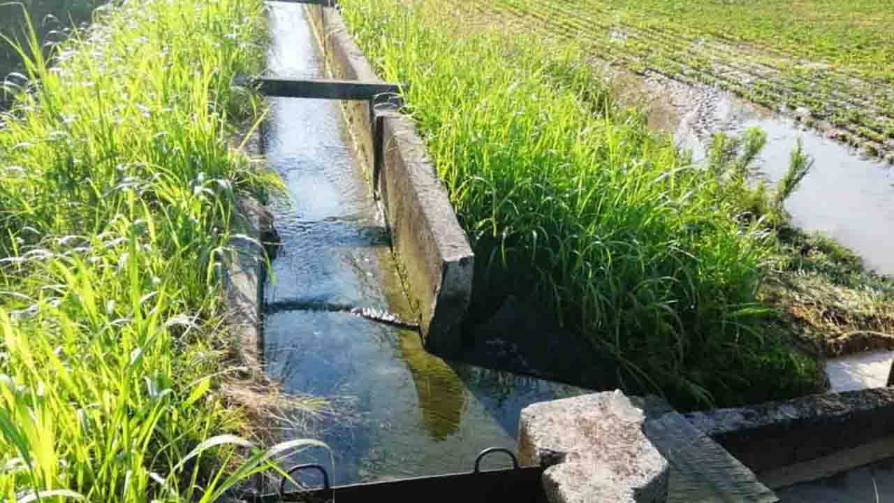 irrigazione agricoltura acqua