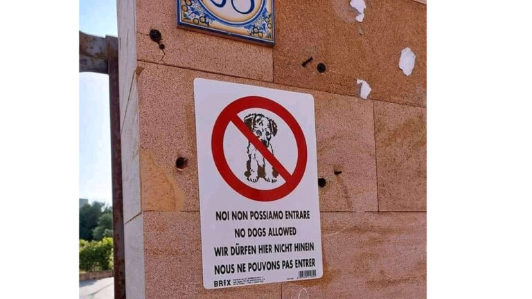 non dog Museo Carnevale
